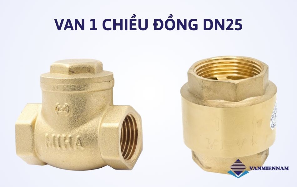 Van 1 chiều đồng DN25
