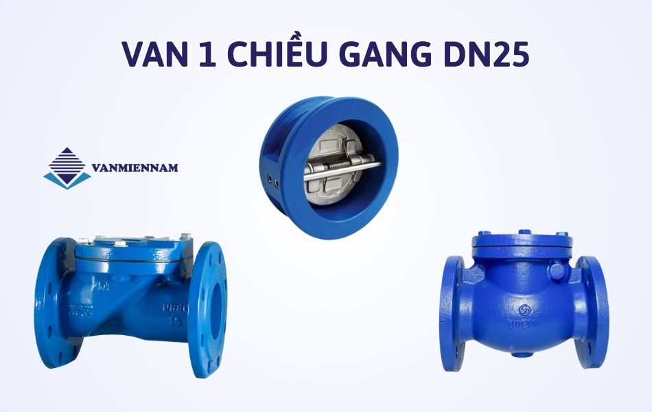 Van 1 chiều gang DN25