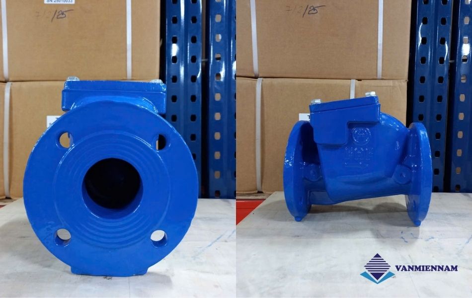 Van 1 chiều gang FAF DN50