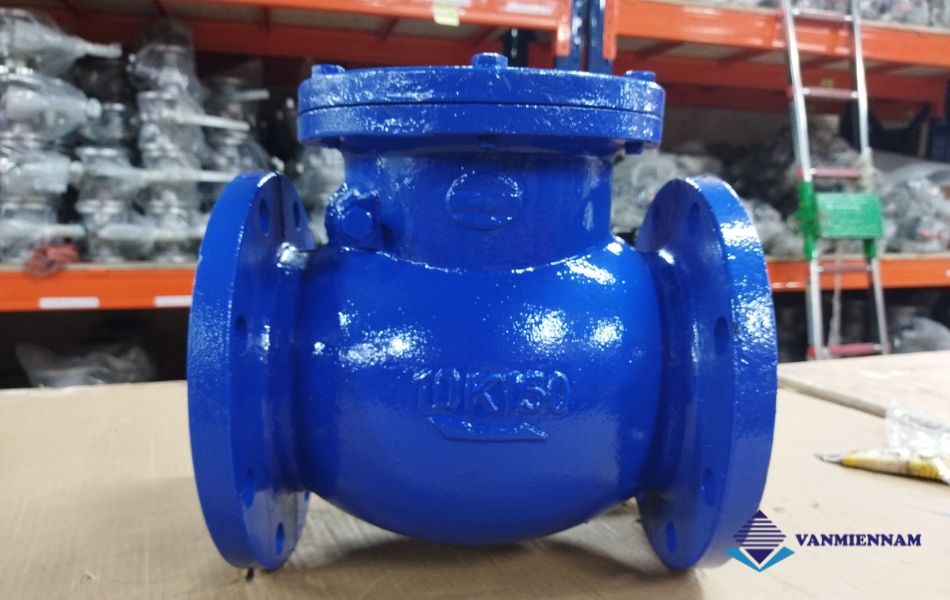 Van 1 chiều gang Wonil DN50