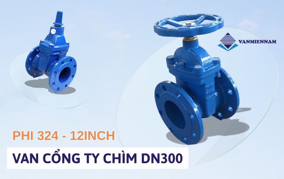 van cổng ty chìm dn300