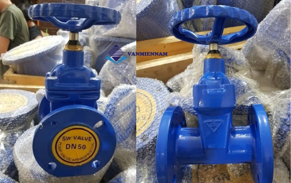 Van cổng ty chìm DN50 Samwoo