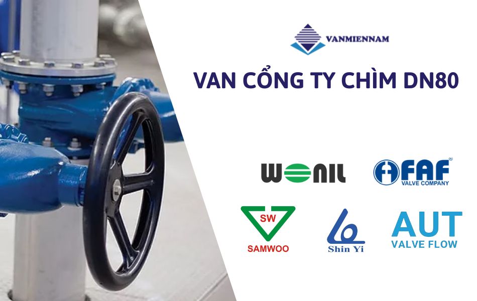 van cổng ty chìm dn80