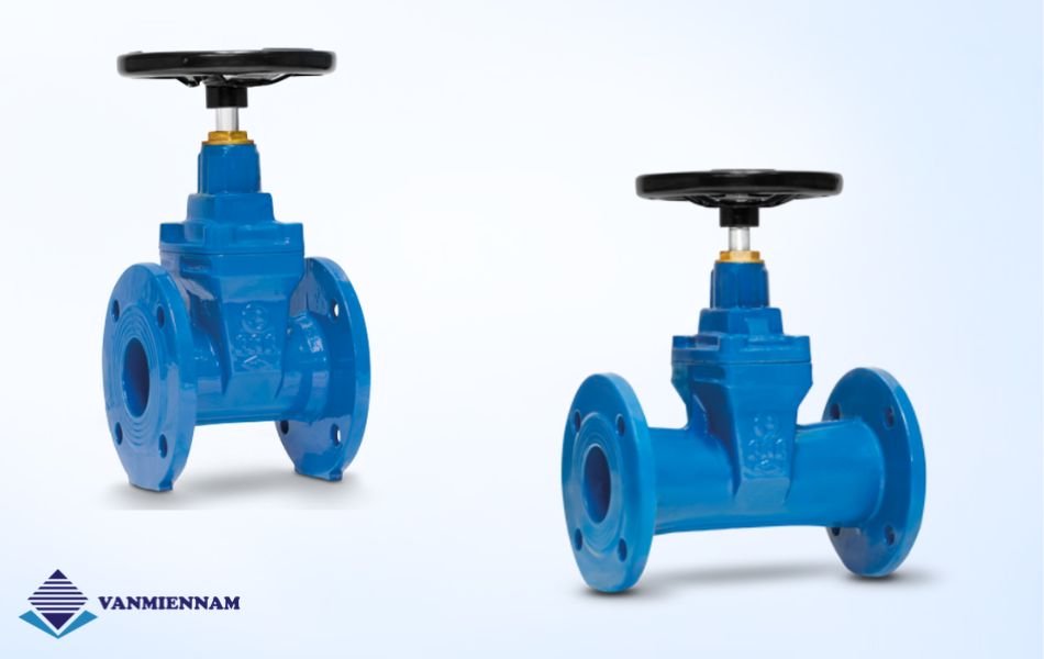 Van cổng ty chìm FAF DN40