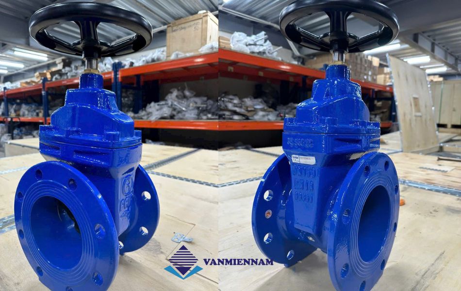 Van cổng ty chìm FAF DN80