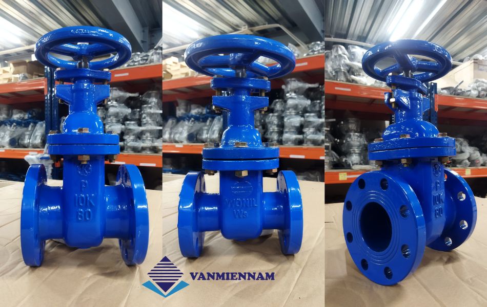 Van cổng ty chìm Wonil DN80