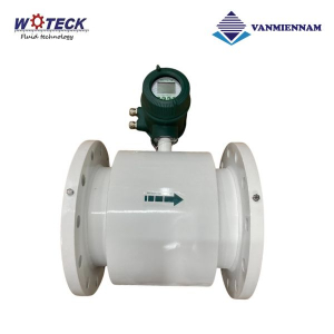 Đồng hồ nước điện tử Woteck DN350