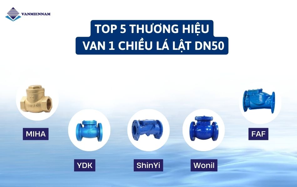 Top 5 thương hiệu van 1 chiều lá lật DN50 phổ biến