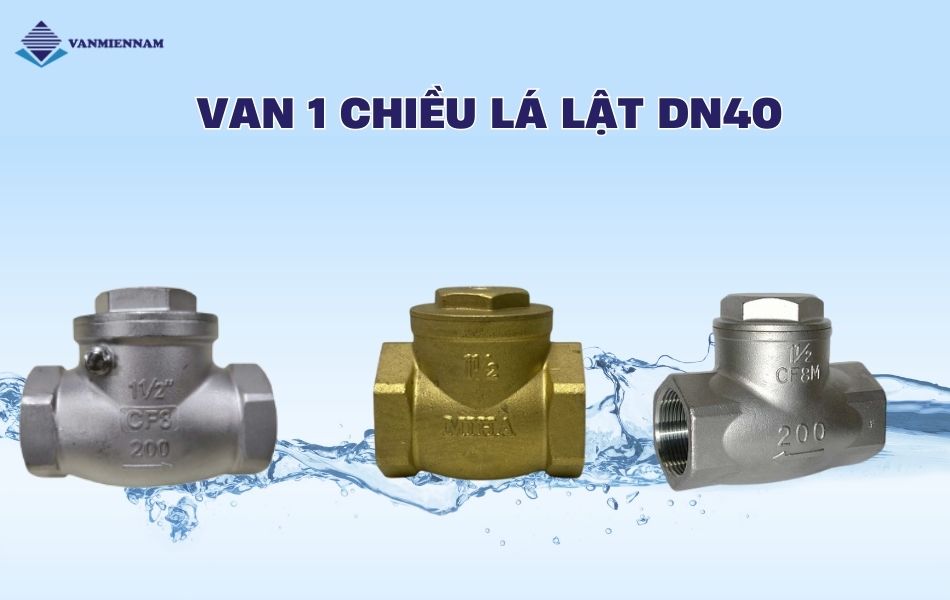 Van 1 chiều lá lật DN40