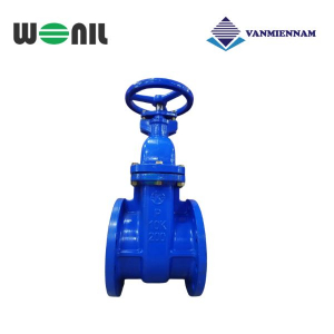 Van cổng gang ty chìm Wonil DN200