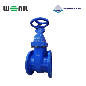 Van cổng gang ty chìm Wonil DN250