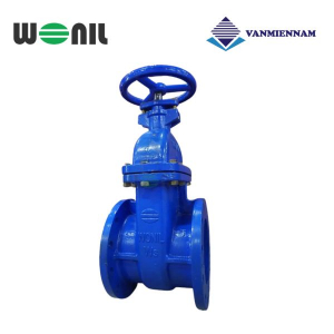 Van cổng gang ty chìm Wonil DN300