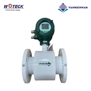 Đồng hồ nước điện tử Woteck DN100
