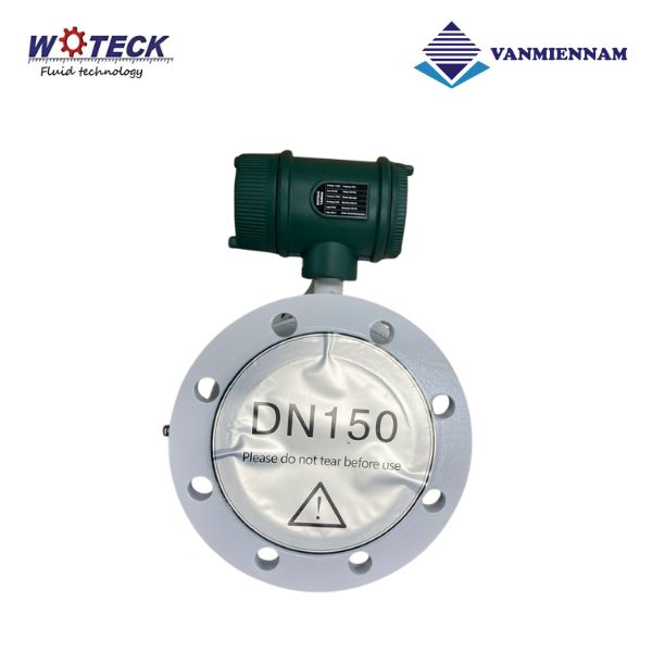Đồng hồ nước điện tử Woteck DN150