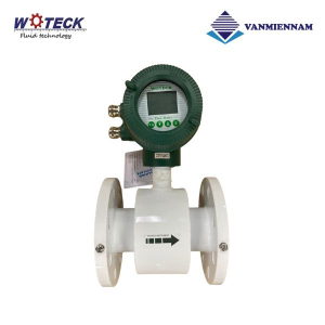 Đồng hồ nước điện tử Woteck DN65