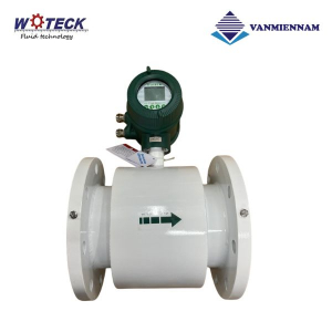Đồng hồ nước điện tử Woteck DN80