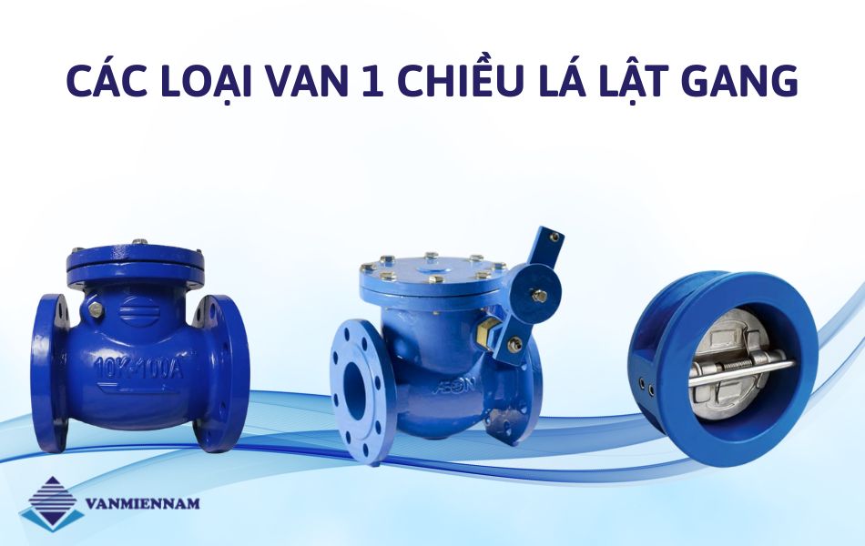 Các loại van 1 chiều lá lật gang