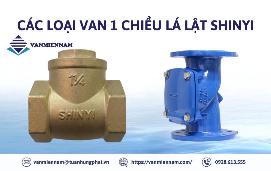 Các loại van 1 chiều lá lật Shinyi