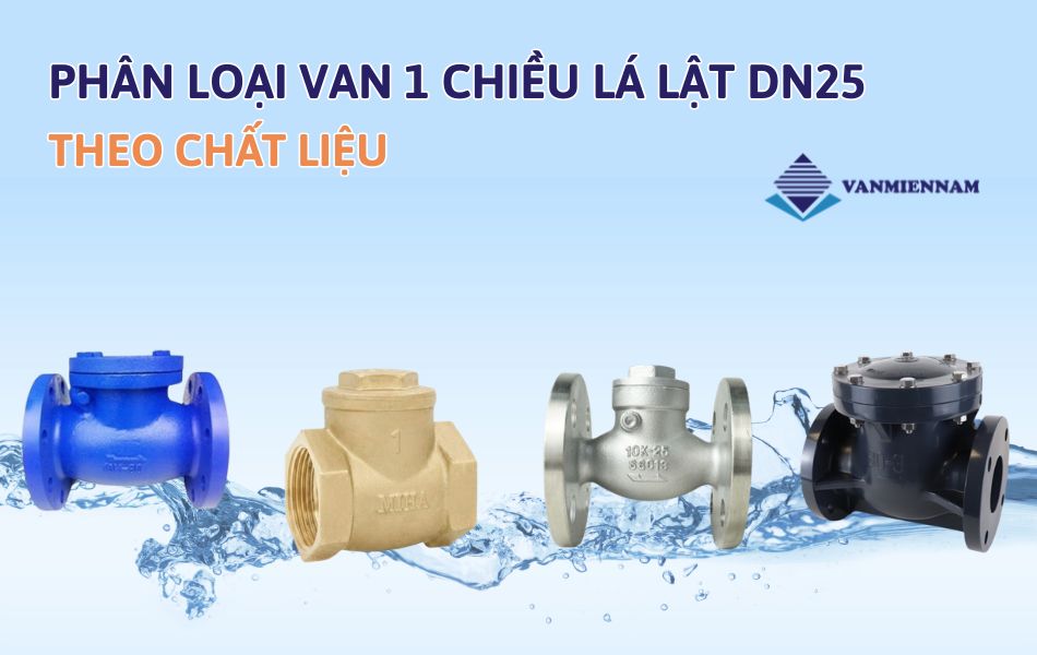 Phân loại van 1 chiều lá lật DN25 theo chất liệu
