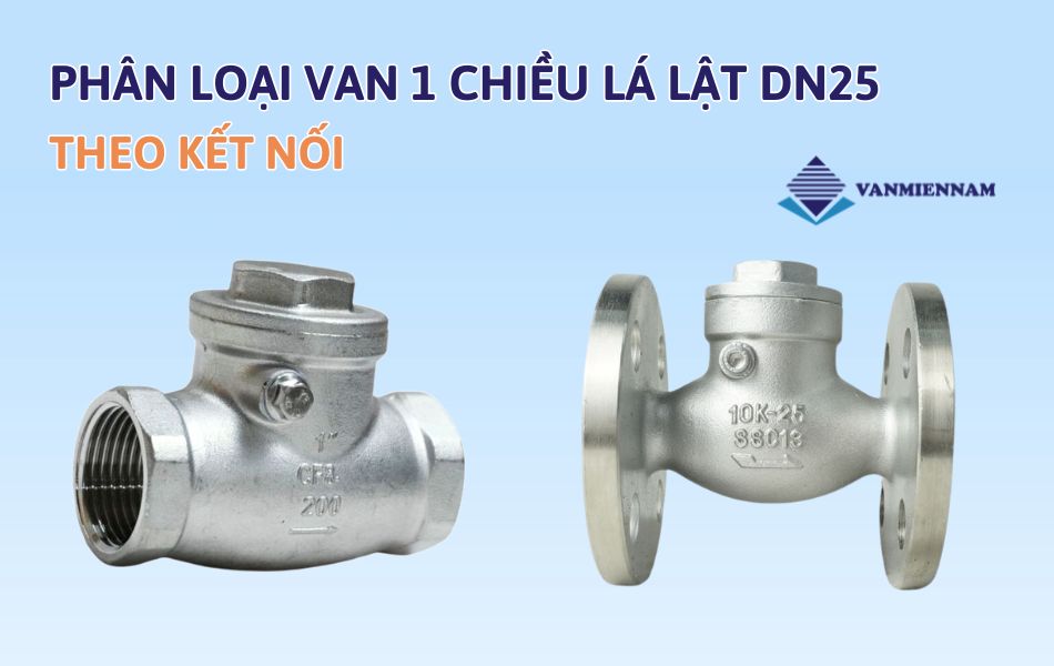 Phân loại van 1 chiều lá lật DN25 theo kết nối