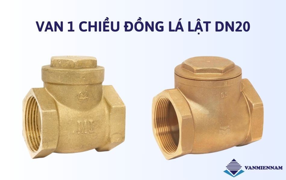 Van 1 chiều đồng lá lật DN20