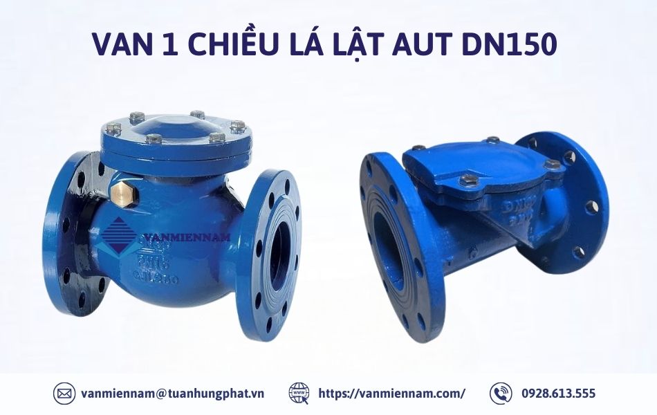 Van 1 chiều lá lật AUT DN150