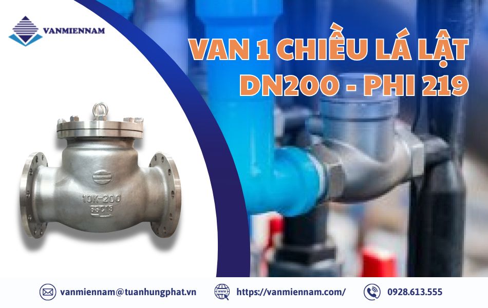 Van 1 chiều lá lật DN200