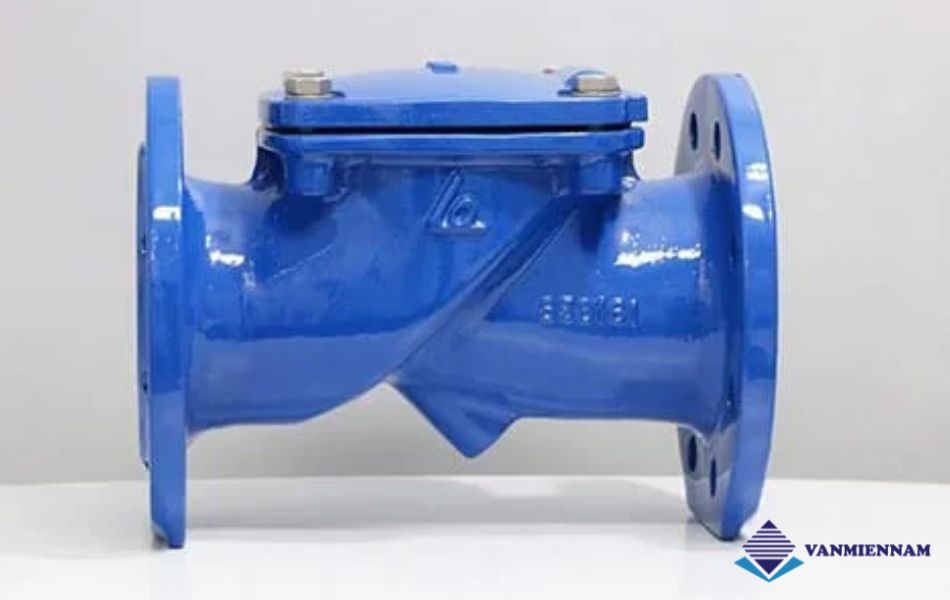 Van 1 chiều lá lật Shinyi DN100