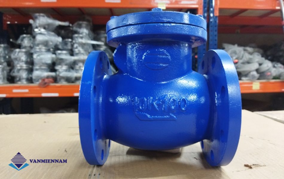 Van 1 chiều lá lật Wonil DN100