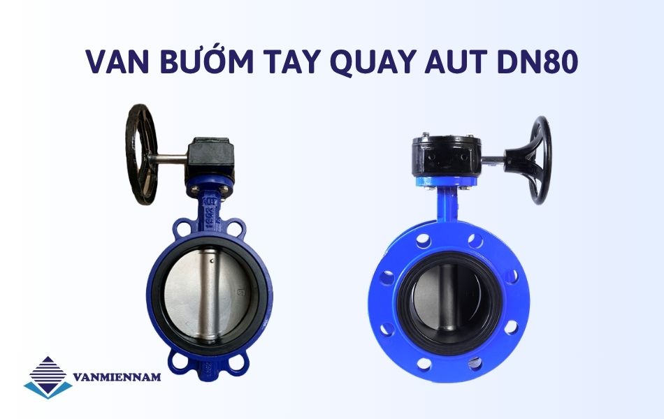 Van bướm tay quay AUT DN80