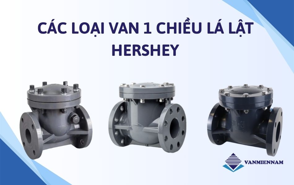 Các loại van 1 chiều lá lật Hershey