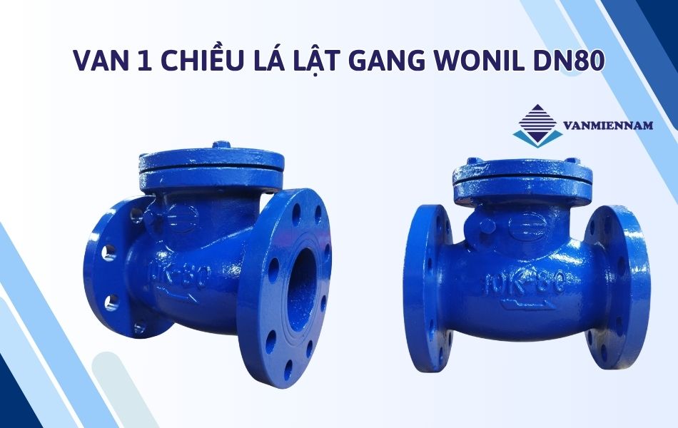 Van 1 chiều lá lật gang Wonil DN80
